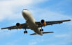 Enjoy your travels with cheap flights for seniors