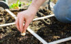 Essential tools to make gardening easy and effective