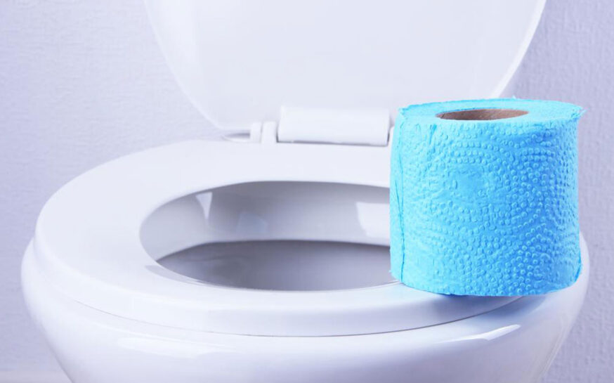 Features to look for in the best potty seats