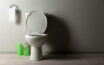 Five common types of toilet bowls