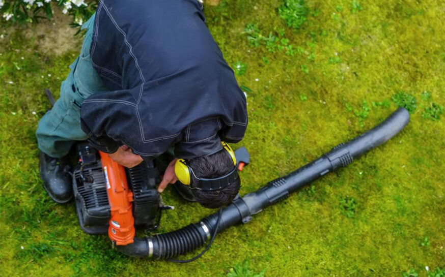 How to choose the right leaf blower for your garden