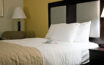 Latex mattresses vs. memory foam mattresses – A comparative study