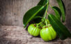 Some cons associated with garcinia cambogia
