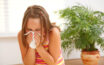Tips to prevent allergies from three primary sources