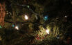 Tips for safely installing outdoor Christmas lights