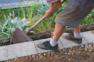 Gardening Activities And Hobbies For Seniors With Dementia