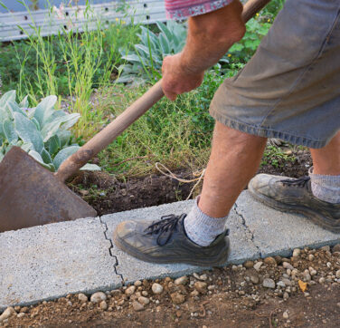 Gardening Activities And Hobbies For Seniors With Dementia